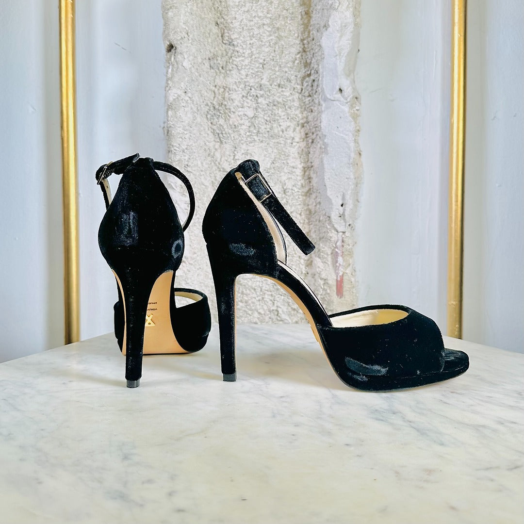 T. 37 - BLACK DALIA (10cm)