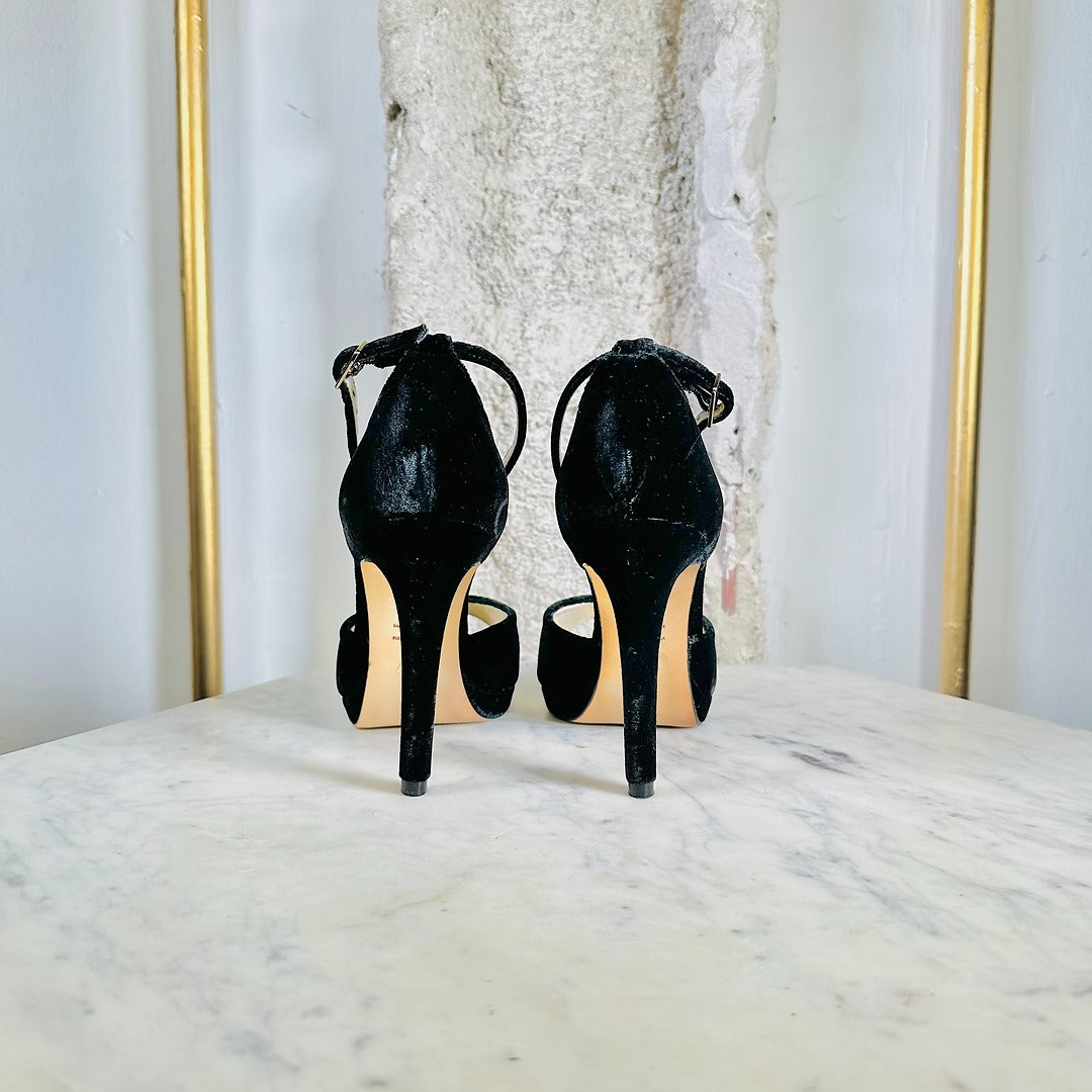 T. 37 - BLACK DALIA (10cm)