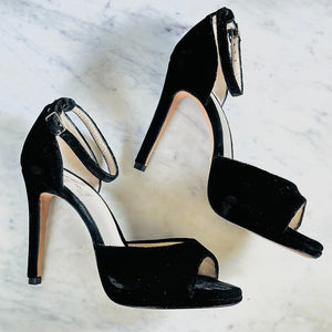 T. 37 - BLACK DALIA (10cm)